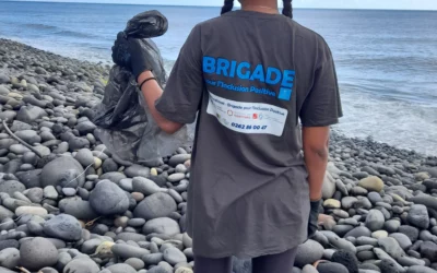 BIP – Retour sur les actions d&rsquo;octobre et de novembre